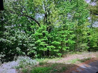 Lot 12 Thaxted Dr, Bella Vista, AR 72715