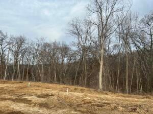 215 Boone Point Subdivision, Boonville, MO 65233