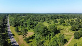 0 Zion Hill Rd, Pittsview, AL 36871