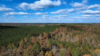 0 County Road 16, Dennis, MS 38838