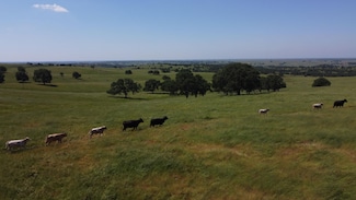 27077 Cooperstown Rd, La Grange, CA 95329