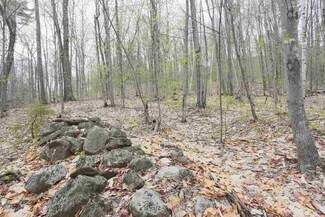 0 Jericho Unit 4632872, Bartlett, NH 03812