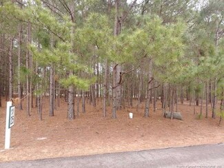 384 Moss Pink Dr, Vass, NC 28394