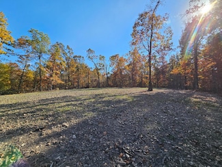 Tract 4 Coble Ln, Pineville North Township, MO 64831