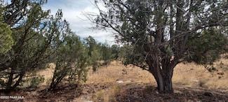 32369 W Avenida Bailar Lot # 2972, Seligman, AZ 86337