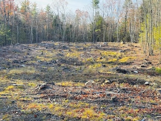 Lot 77 Homestead Ln, Barrington, NH 03825