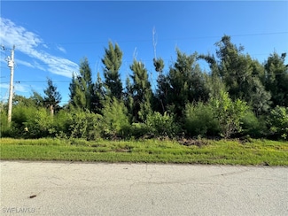3486 Papaya St, Saint James City, FL 33956