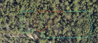 163 Honeysuckle St, Mossy Head, FL 32433