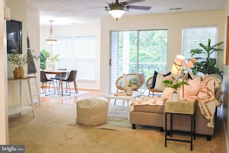 4409 Silverbrook Ln Unit 202, Owings Mills, MD 21117