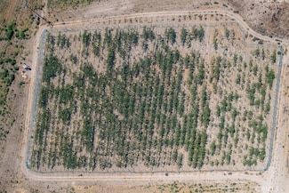 43900 California 79, Aguanga, CA 92536