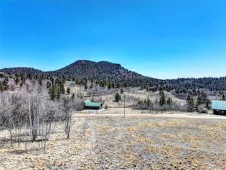 499 Kiowa St, Jefferson, CO 80456