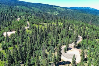 TBD Parcel 4 Phase 3 Tree Farm Trail, Elk City, ID 83525