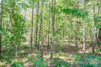 Lot # 16 Meadow Crossing Dr, Rutherfordton, NC 28139