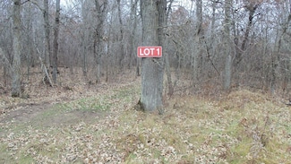 Lot 1 300th St, Sterling Township, WI 54024