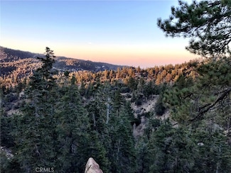 0 Rainbow Ln Unit PW25200015, Angelus Oaks, CA 92305