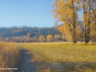 2353 St Marie Sriver Rd, St. Maries, ID 83861