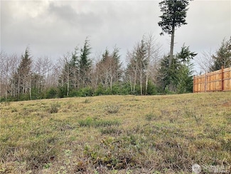 1139 Grays Pointe Ln, Aberdeen, WA 98520