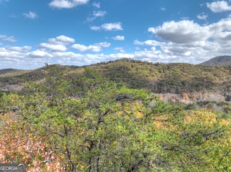 23 ACRES Weaver Creek Rd, Blue Ridge, GA 30513
