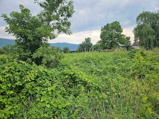1726 Munger St, Middlebury, VT 05753