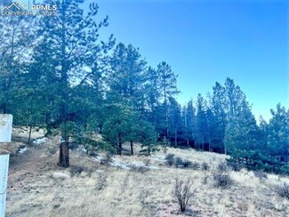 233 Rabbil Creek Dr, Florissant, CO 80816