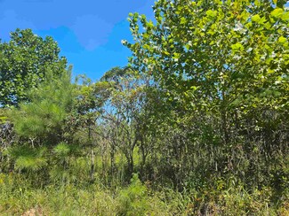 0 Hubanks Rd, Finger, TN 38334