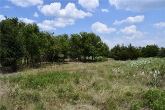 Lot 8 Hcr 3363, Mount Calm, TX 76673
