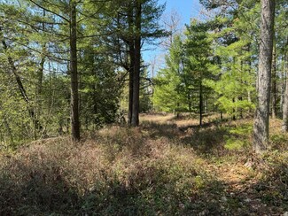 Parcel 6 Ausable Point Rd, Oscoda, MI 48750