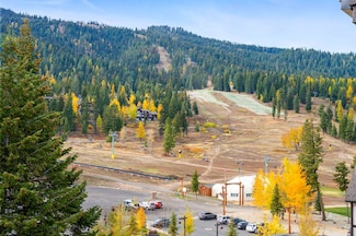 780 Village Dr Unit 505, Tamarack, ID 83615