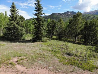 0 Castle Ridge View, Cripple Creek, CO 80813