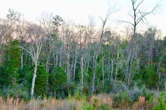 0 Brushy Creek Rd Unit 23509887, Columbia, MS 39429