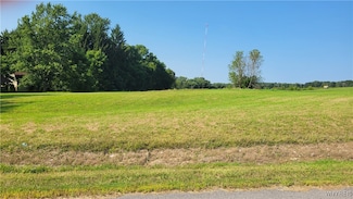 0 Dillon Rd, Pavilion, NY 14525