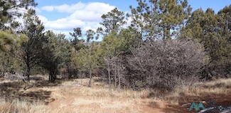 95 Bangkok Dr, Timberon, NM 88350