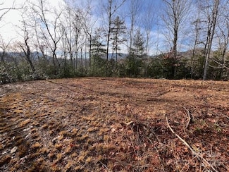 LOT 2 Tobacco Branch Rd, Almond, NC 28771