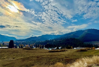 855 X Larson Rd, Peshastin, WA 98847