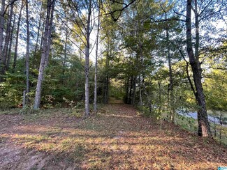 0 Highway 145 Unit 1 1335172, Clanton, AL 35046