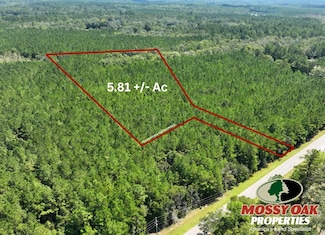 0 Old Jefferson Hwy Unit 24776531, Woodbine, GA 31569