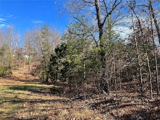 0 Amy Ct Unit 23067165, Bonne Terre, MO 63628