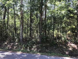 Lot 24 S 7th St, Gulf Park Estates, MS 39564