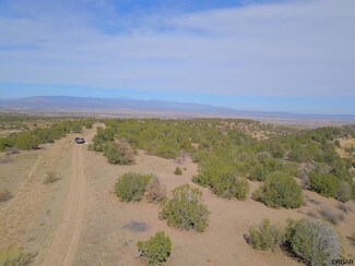 TBD Newlin Ridge Rd, Florence, CO 81226