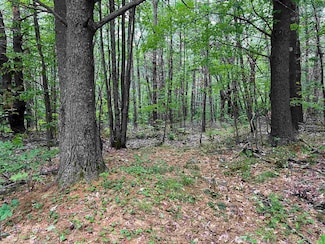 0 Carpenter Hill Rd Unit 5047917, Walpole, NH 03608