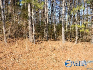 Tract 1 County Road 41, Gaylesville, AL 35973