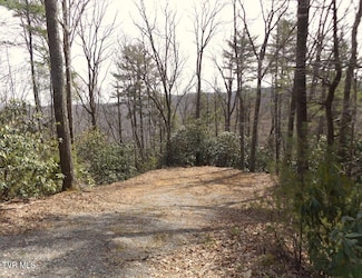 704 Heartwood Lot 55 Ln, Butler, TN 37640