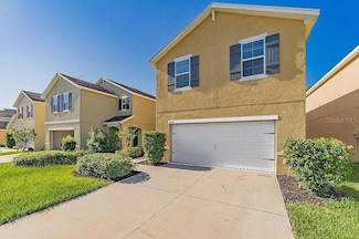 10201 Hawk Storm Ave, Tampa, FL 33610