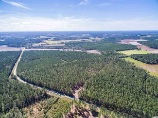 Lot B Alma Rd, Nichols, SC 29581