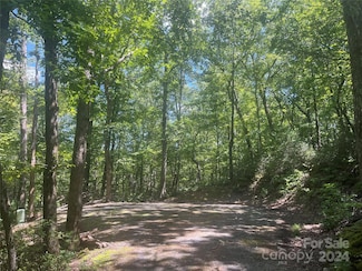 0 Mintwood Ct Unit 11 CAR4176862, Lake Lure, NC 28746