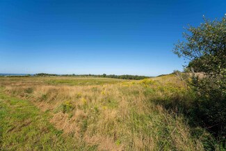 TBD Bartholomew Rd, Bruceton Mills, WV 26525