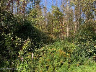 L23.1 Slosson Rd, Chazy, NY 12921
