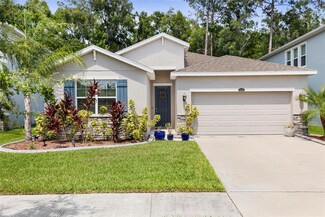 32959 Sand Creek Dr, Wesley Chapel, FL 33543