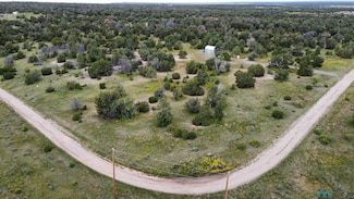 63 Indian Knolls Rd, Fence Lake, NM 87315