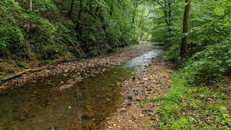 0 Furnace Hollow Rd, Dickson, TN 37055